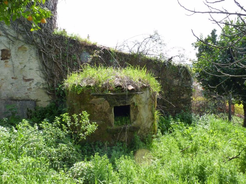 Main Photo