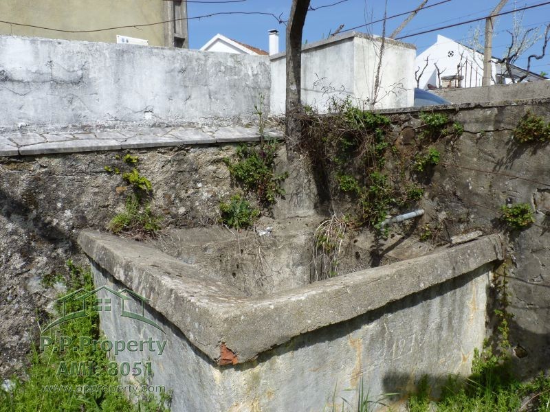Main Photo
