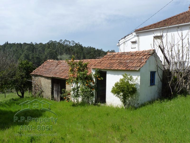 Main Photo