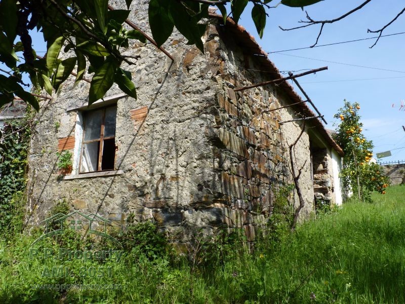 Main Photo