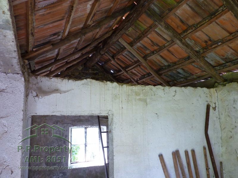 Main Photo