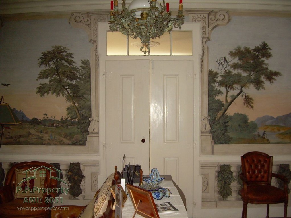 Main Photo