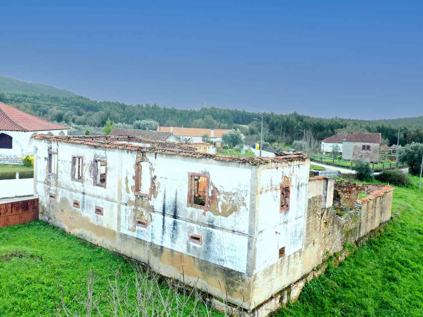 Main Photo