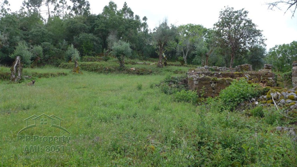 Main Photo of a Ruin for sale