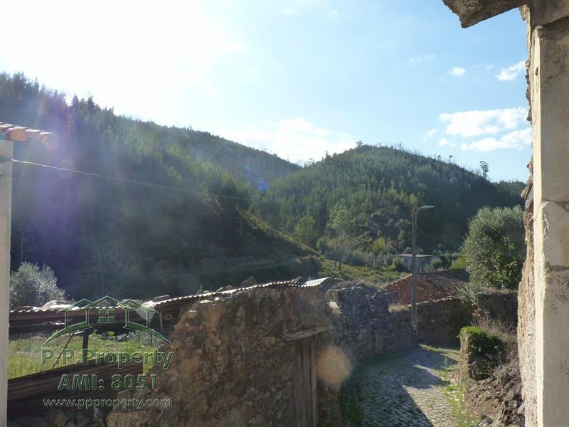 Main Photo