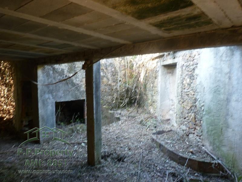 Main Photo