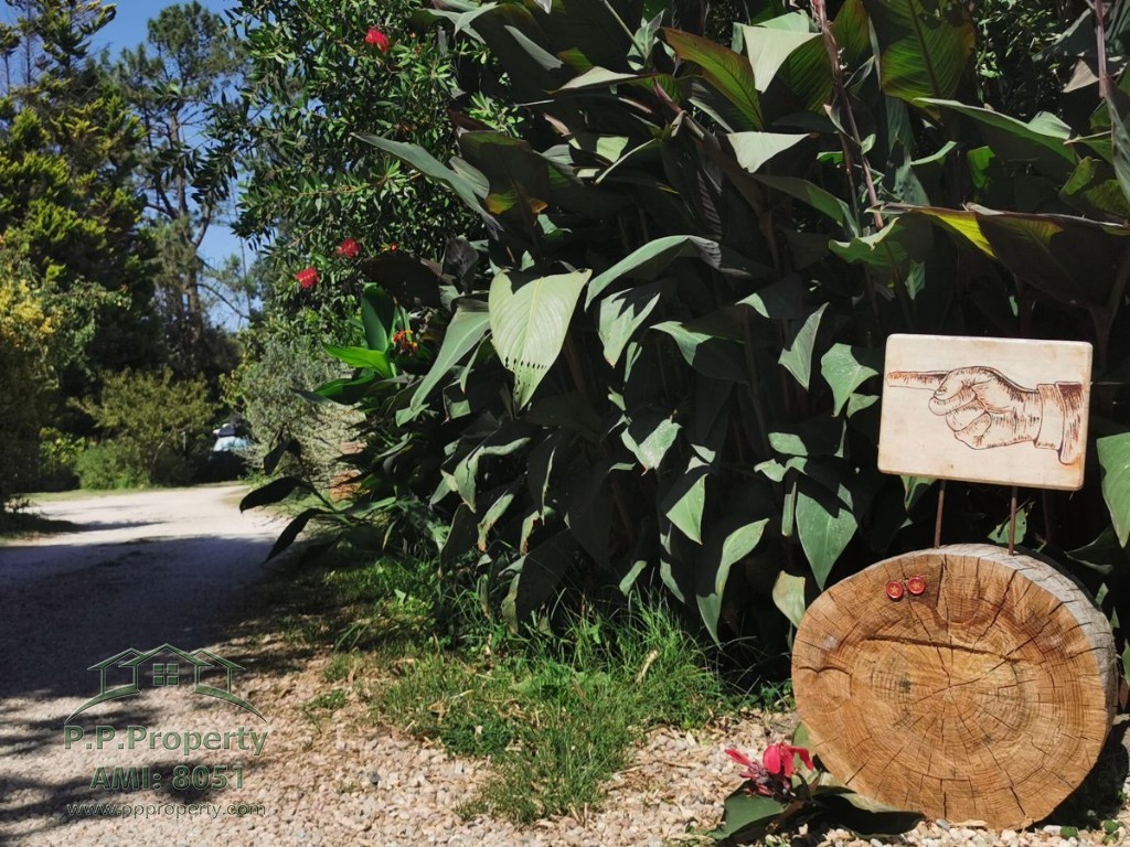 Stunning Campsite for Sale Near Silver Coast Portugal Property for