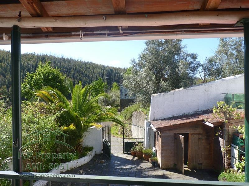 Main Photo