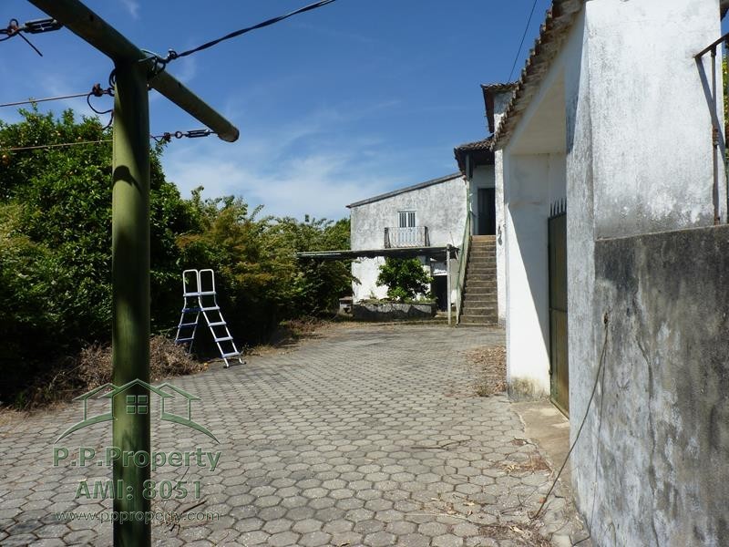 Main Photo