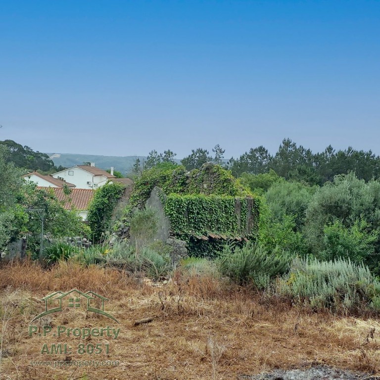 Ruined House and Land Plot situated Between Ansiao and Alvaiazere
