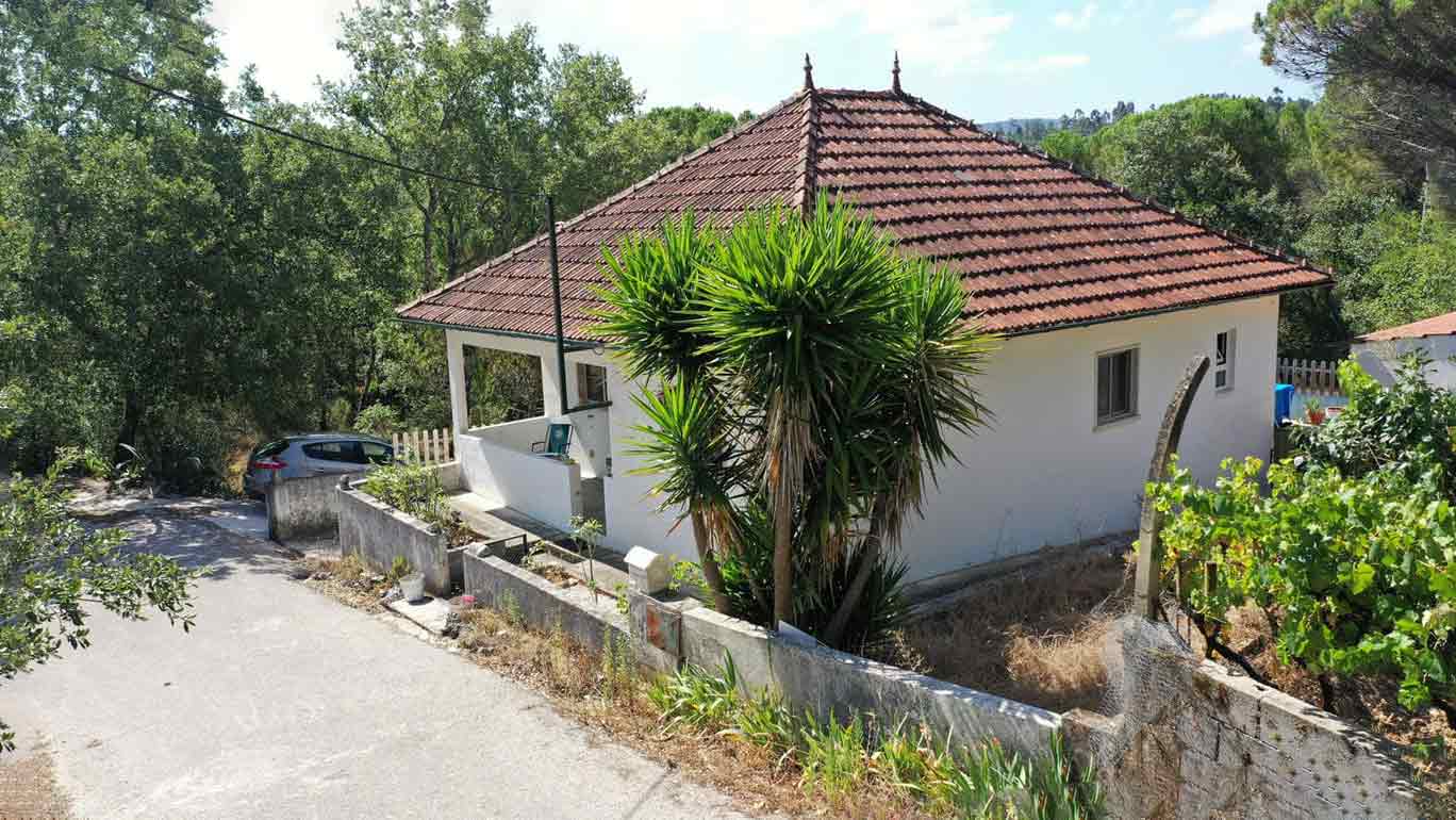 Main Photo