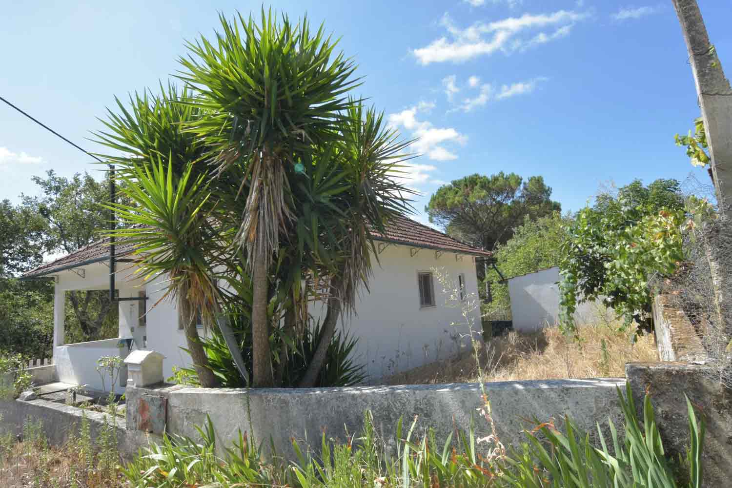 Main Photo