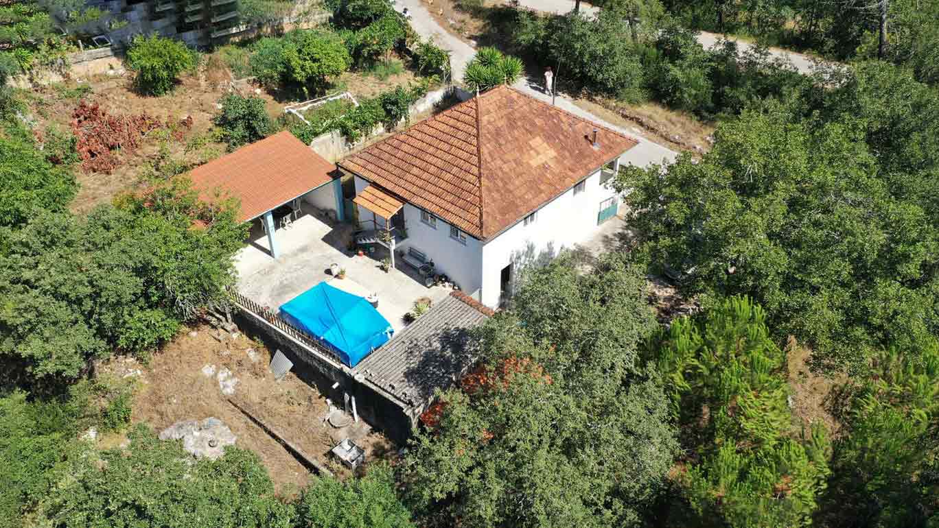 Main Photo