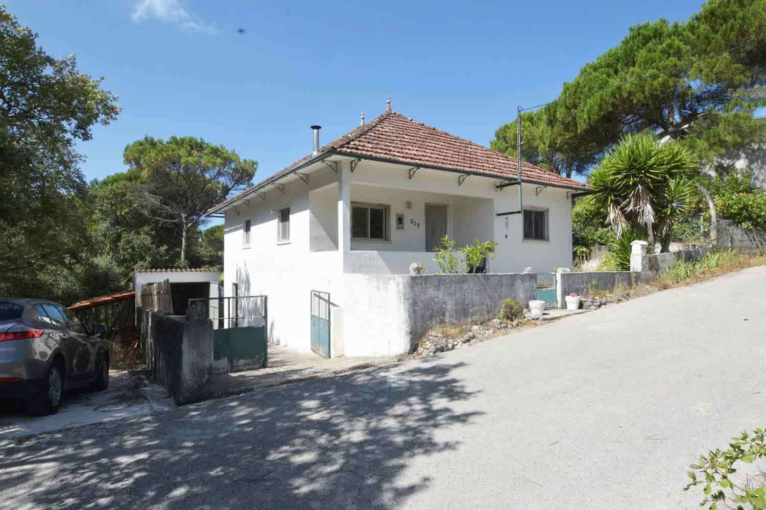 Main Photo