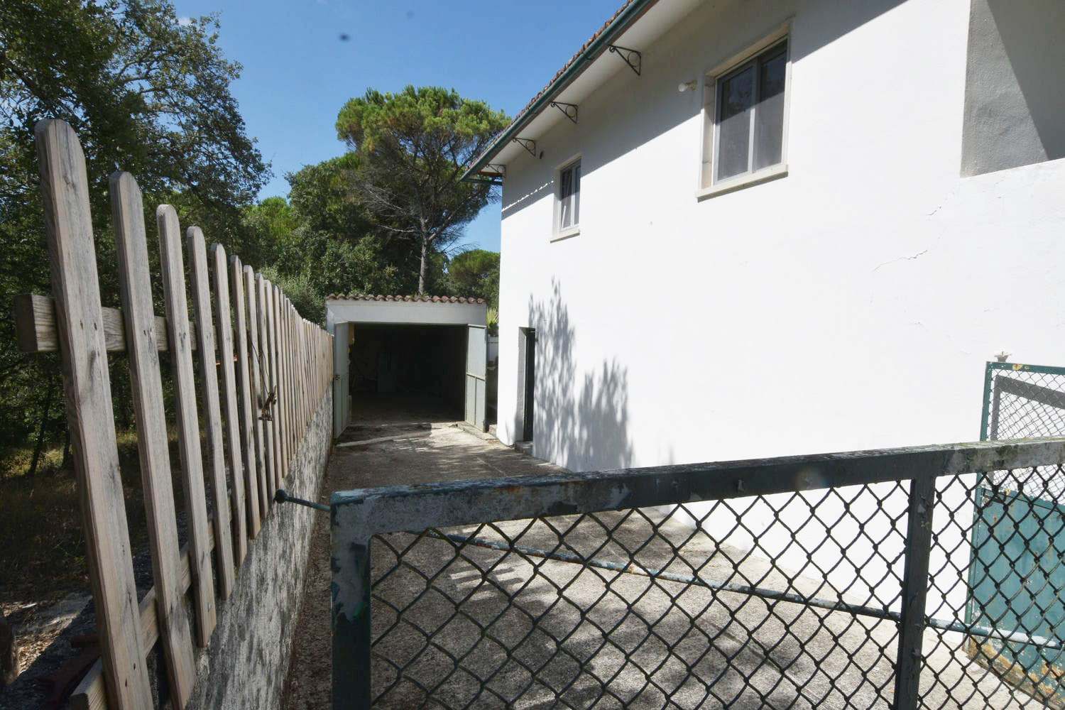 Main Photo