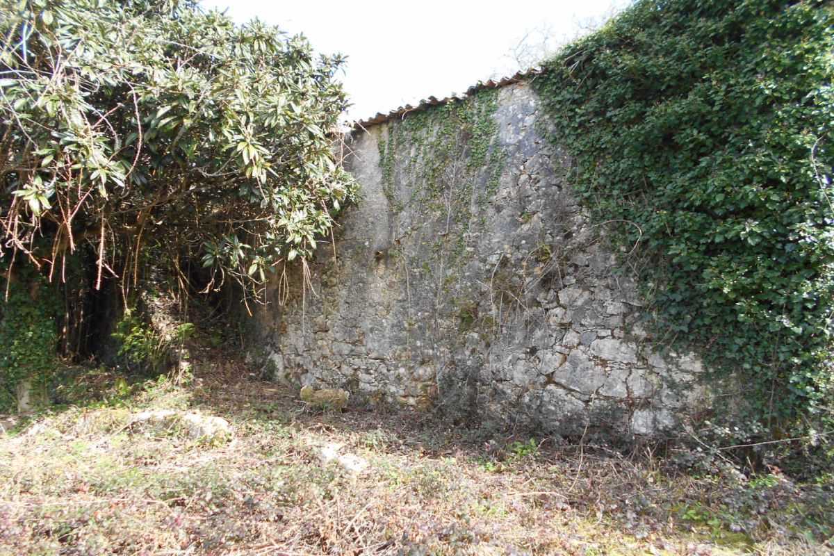 Main Photo