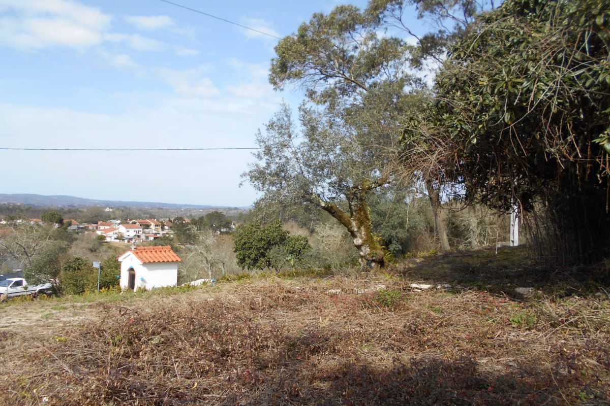 Main Photo
