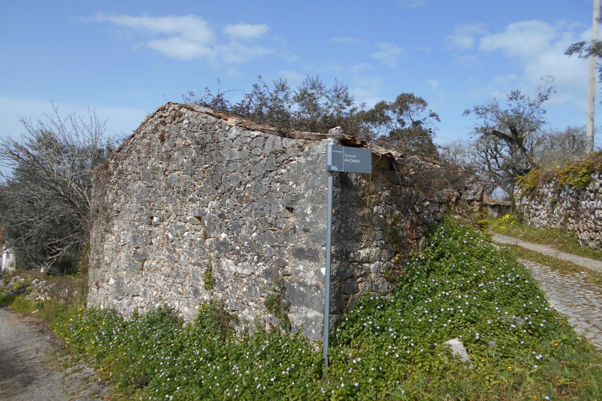 Main Photo