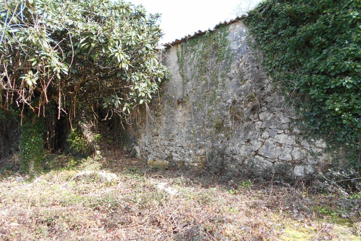 Main Photo