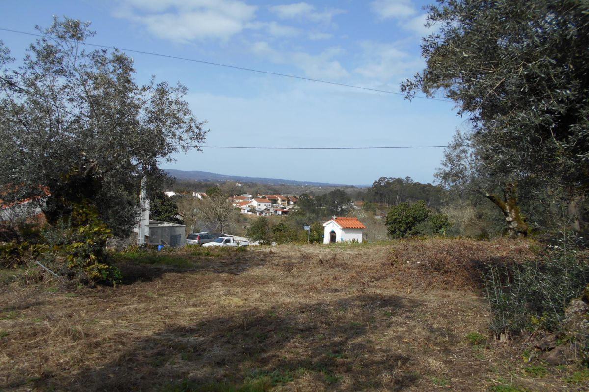 Main Photo