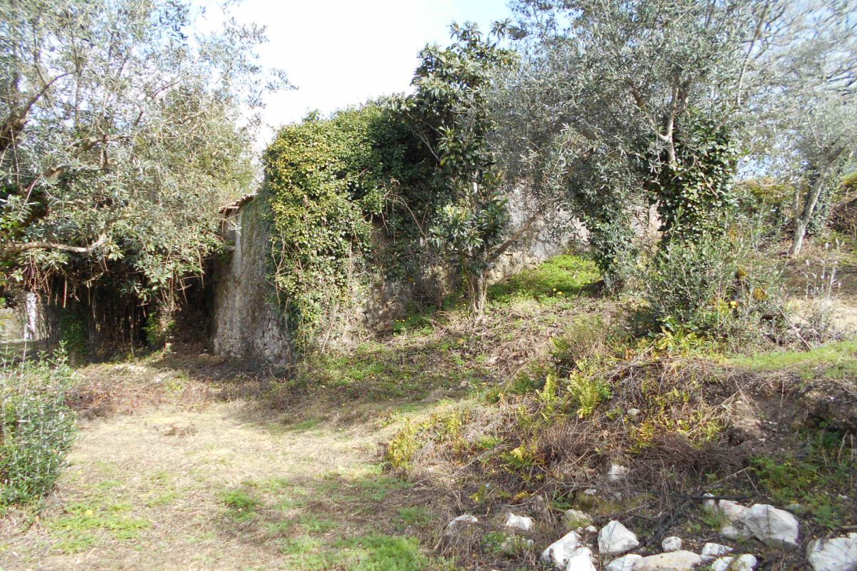 Main Photo