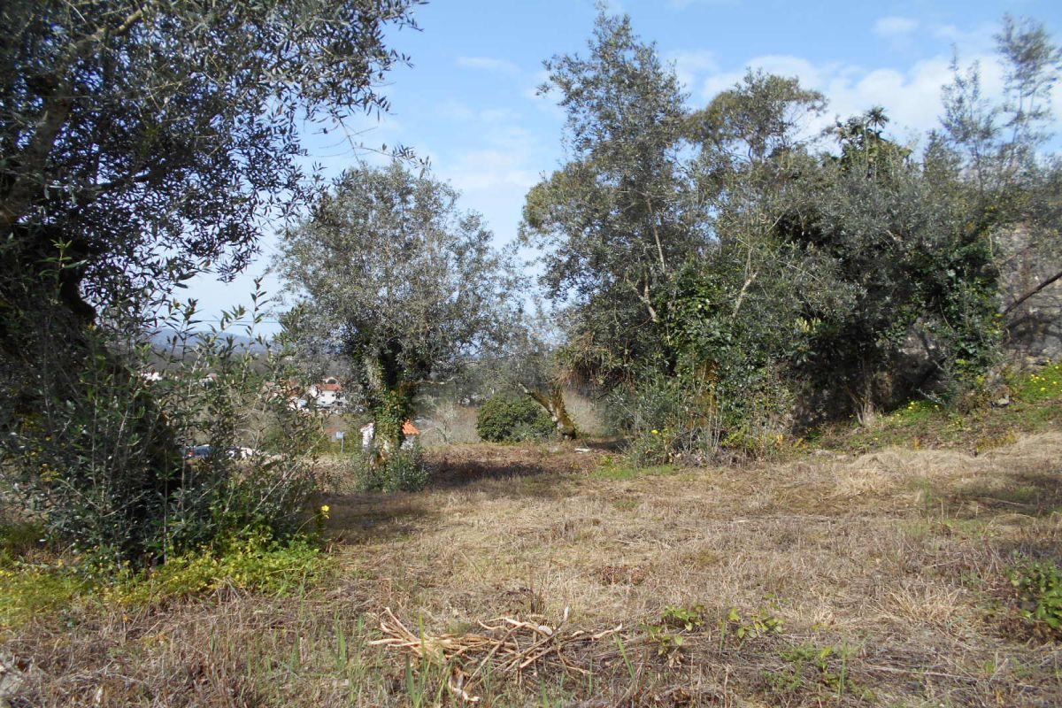 Main Photo
