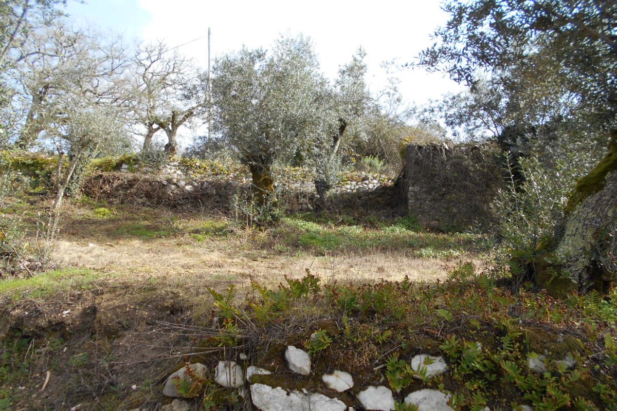 Main Photo