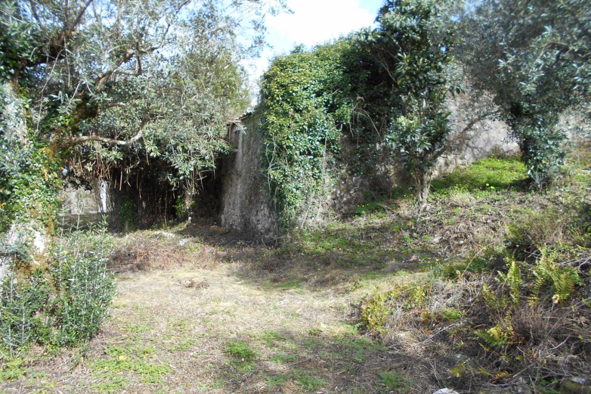 Main Photo