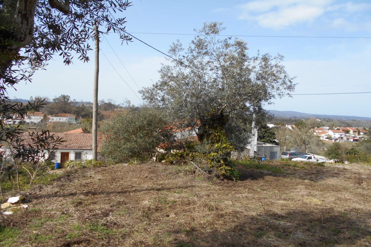 Main Photo