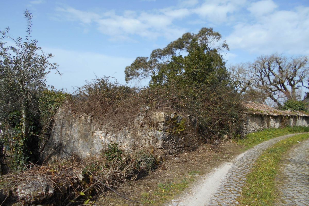 Main Photo