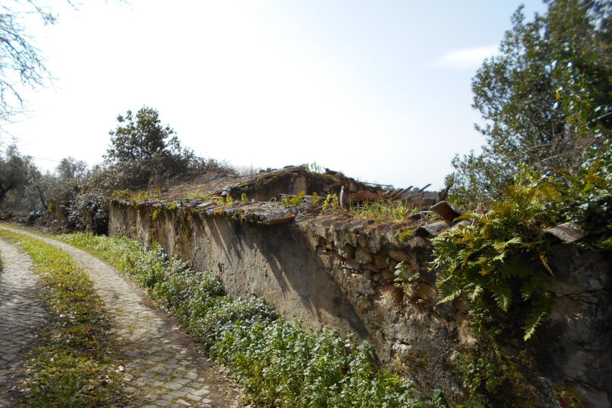 Main Photo