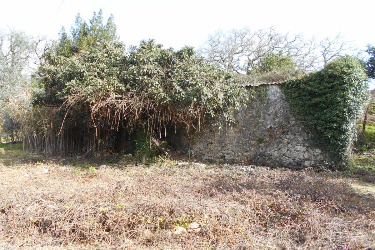 Main Photo