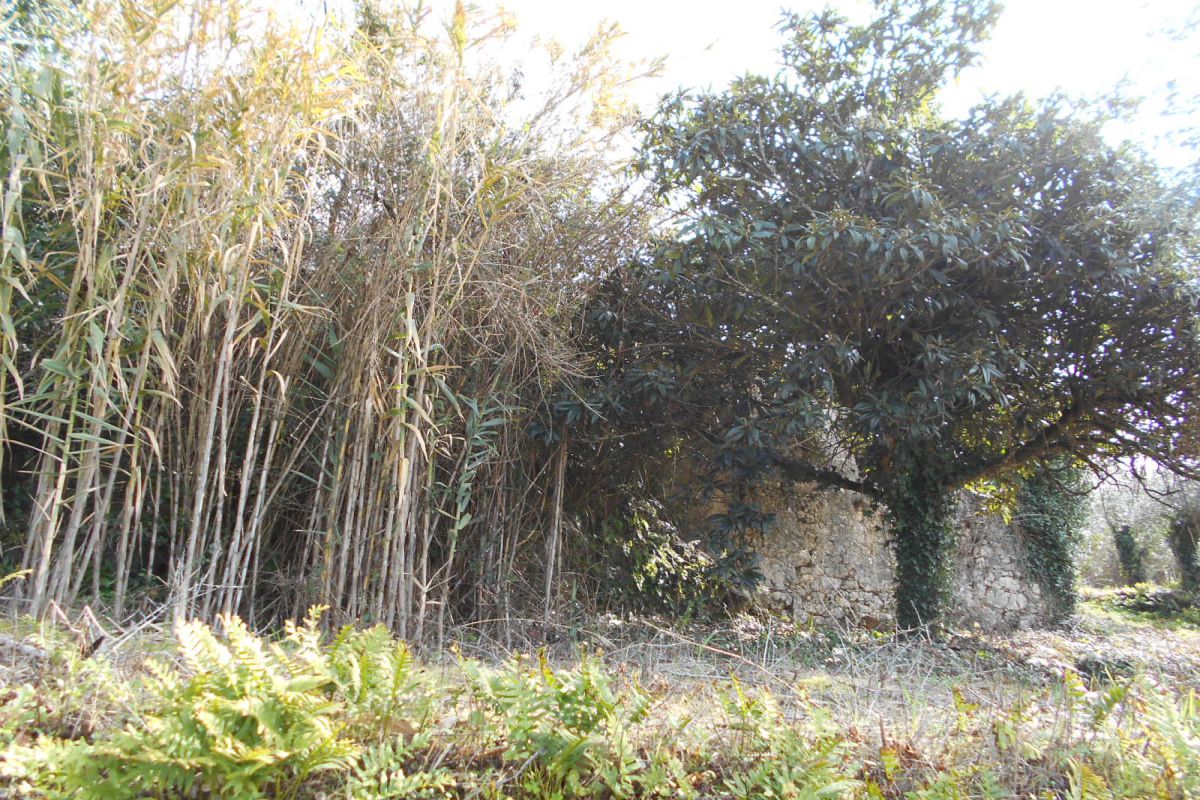 Main Photo