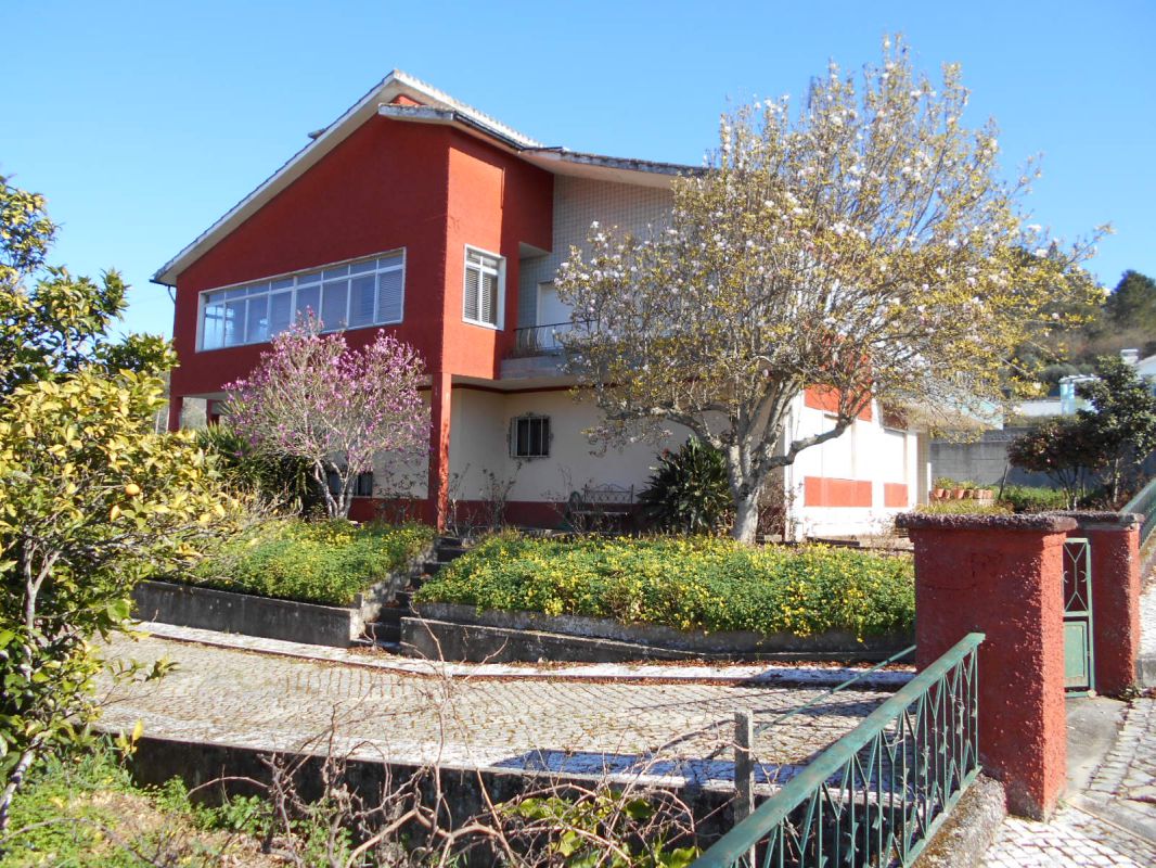Main Photo