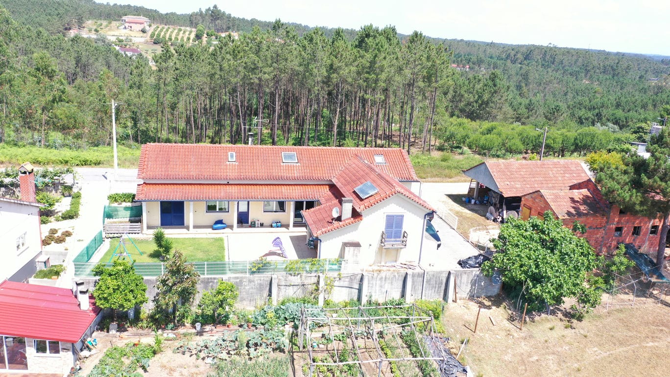 Main Photo