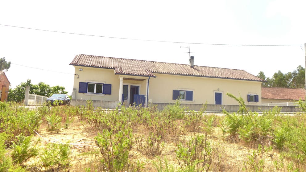 Main Photo
