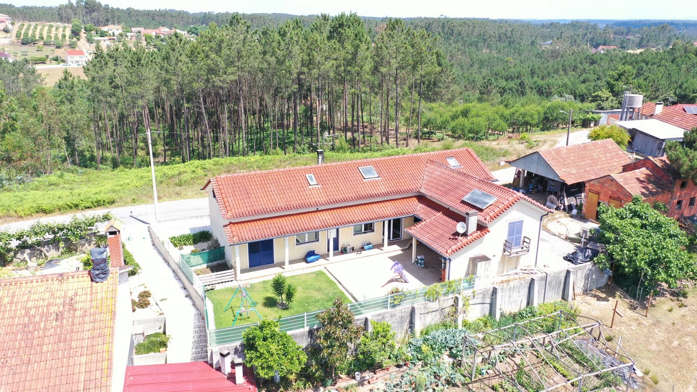 Main Photo