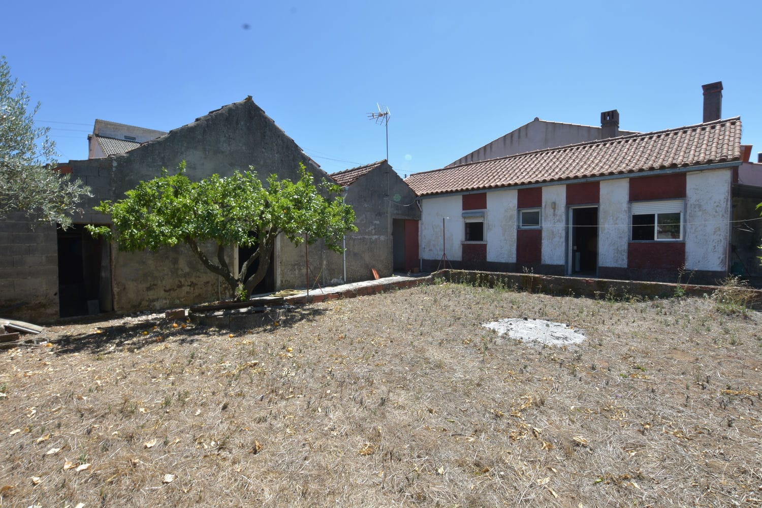Main Photo