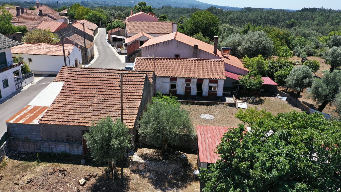 Main Photo
