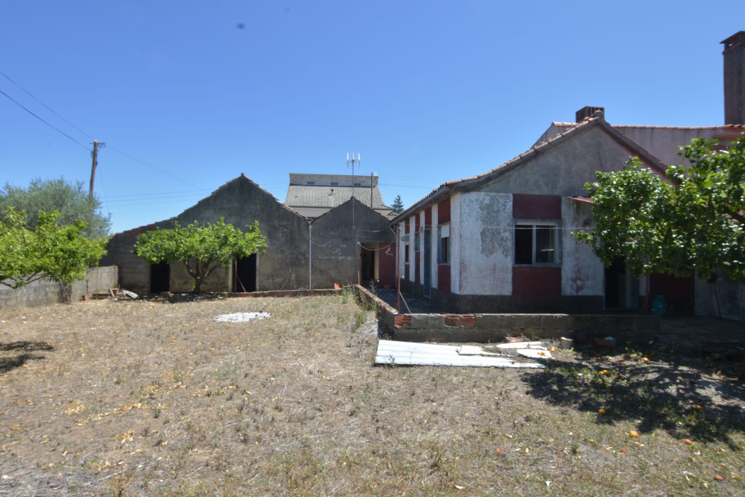 Main Photo