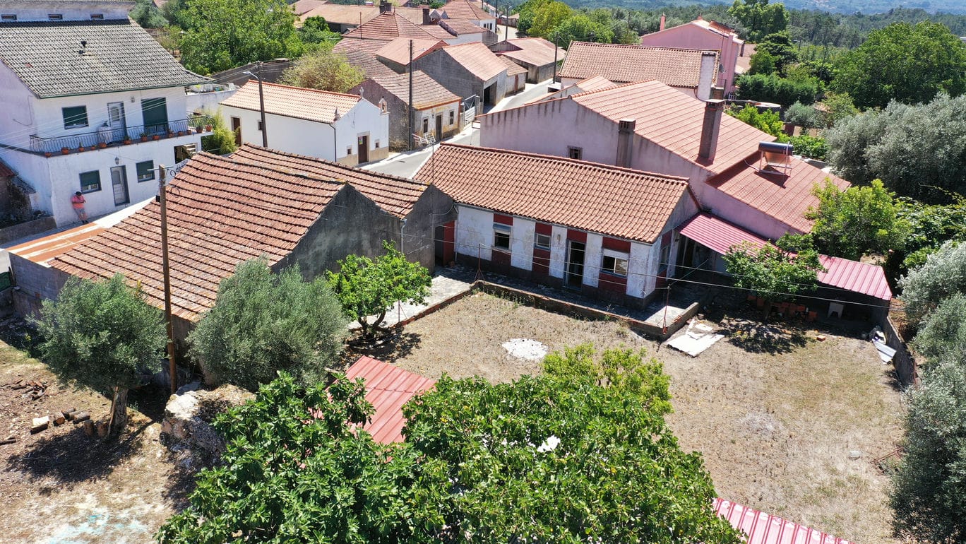 Main Photo
