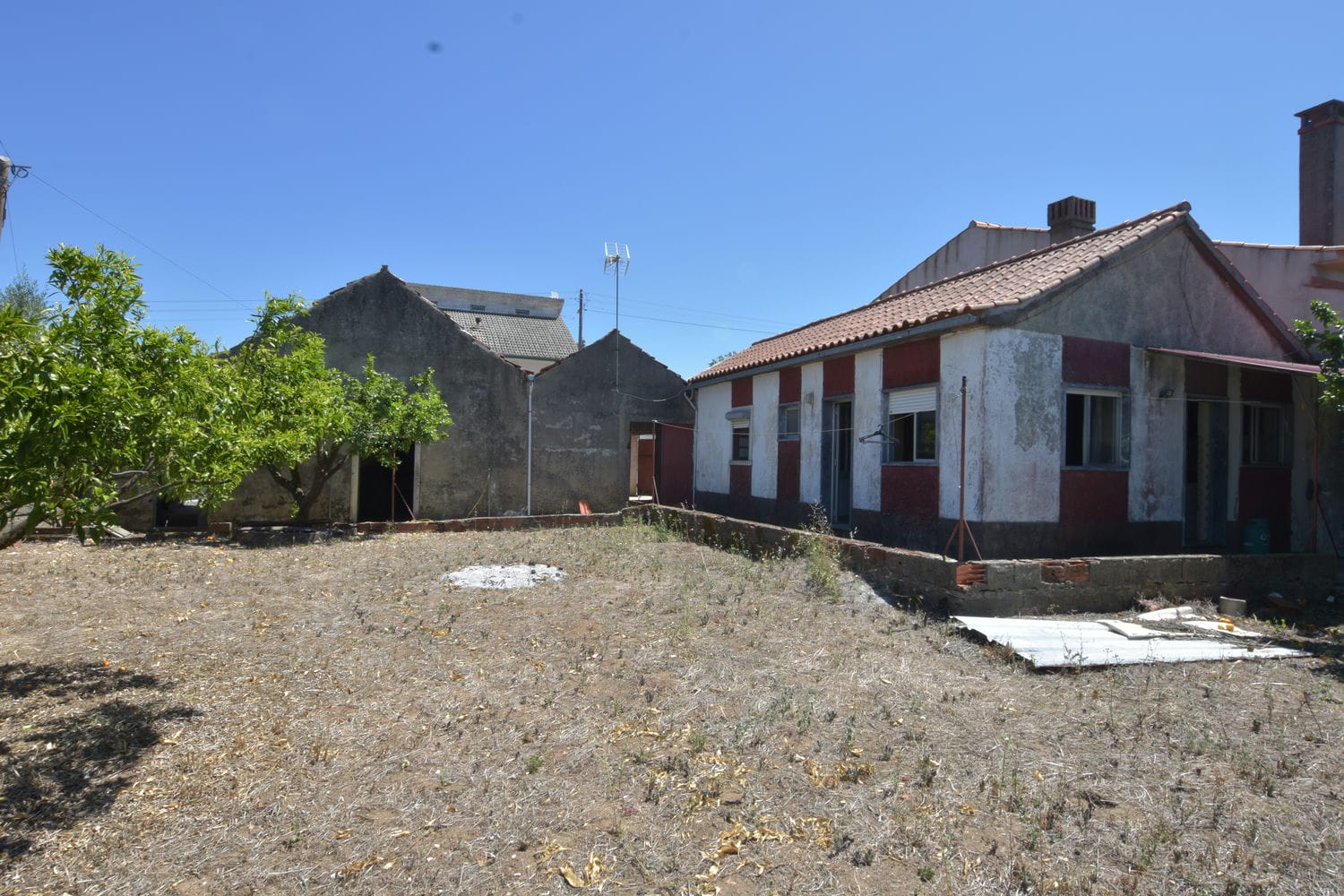 Main Photo