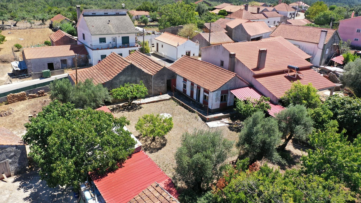 Main Photo