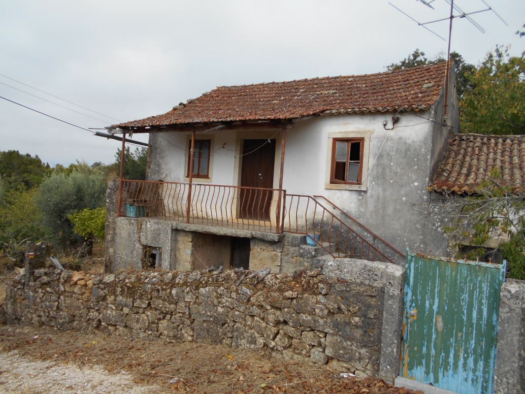 Main Photo