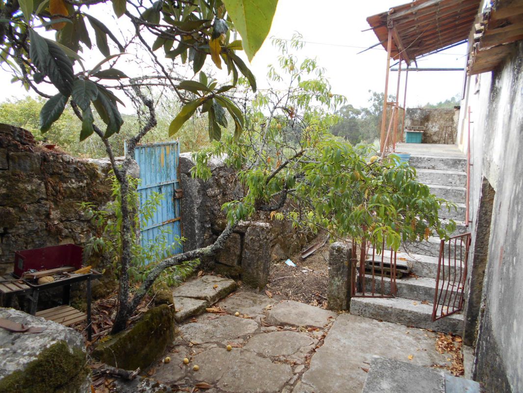 Main Photo