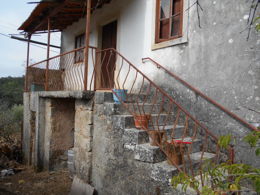 Main Photo