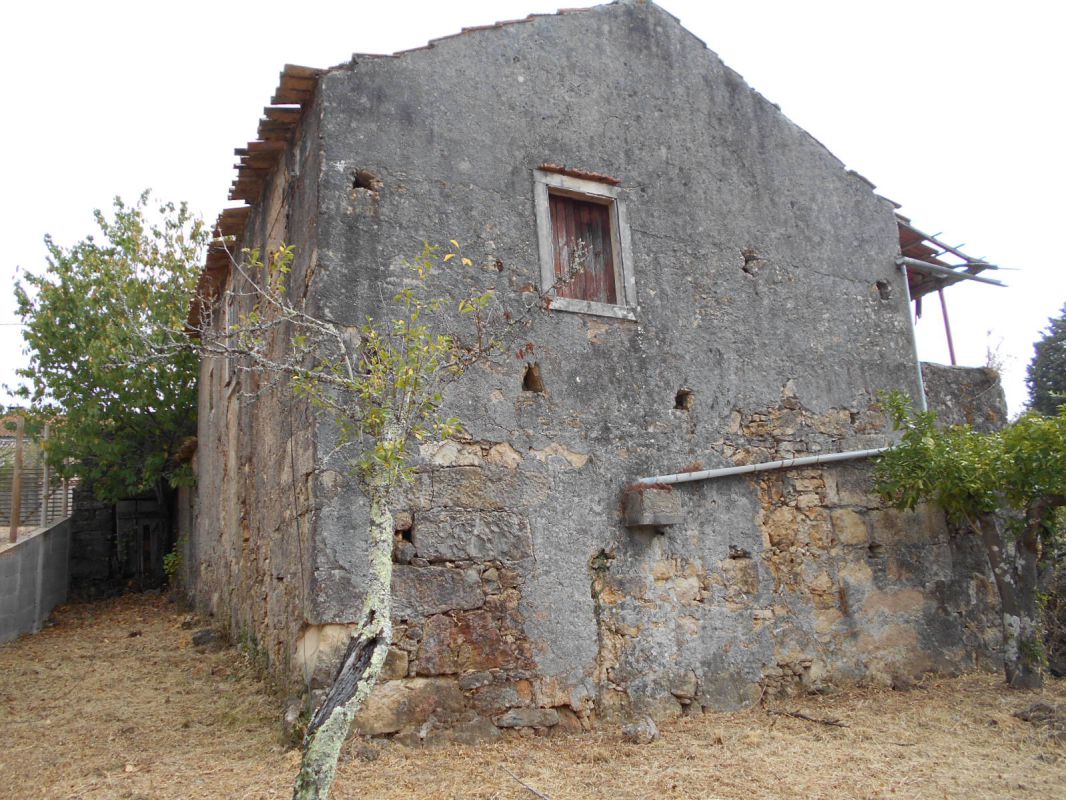 Main Photo