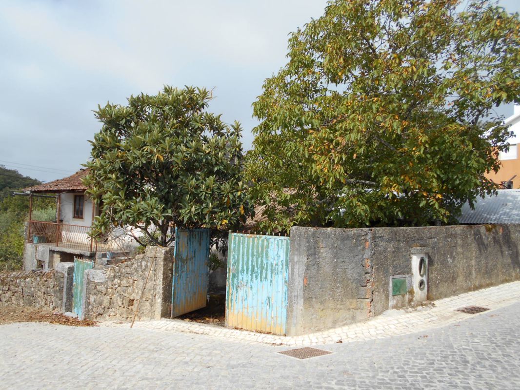 Main Photo