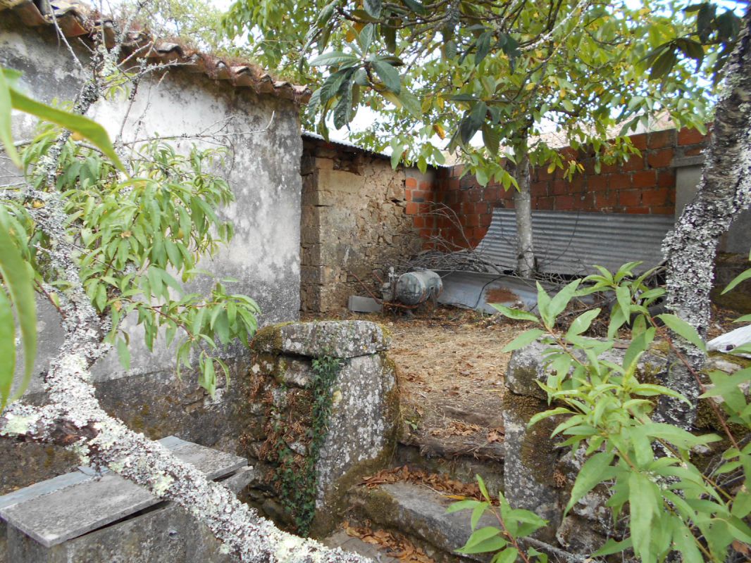Main Photo