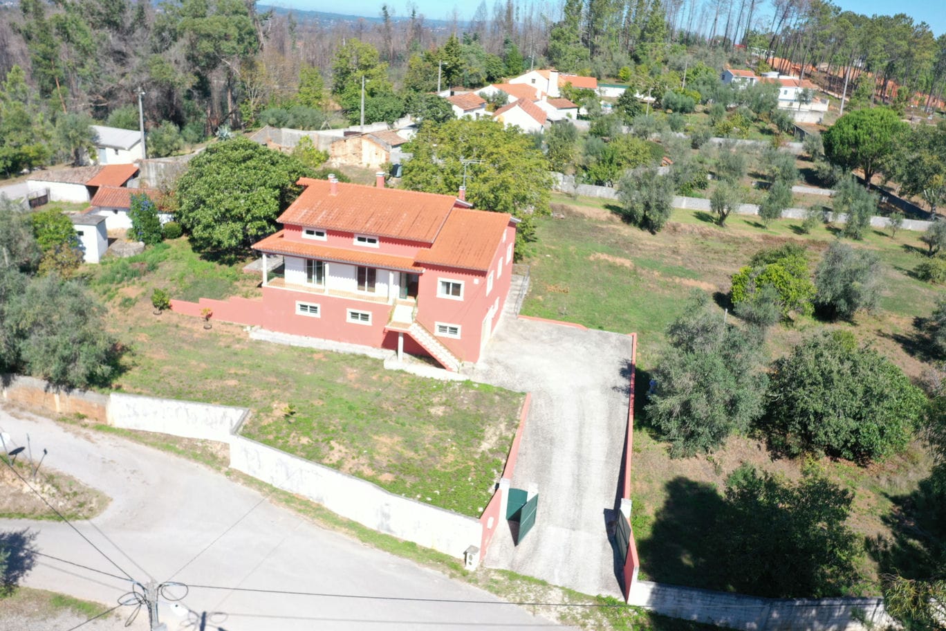 Main Photo